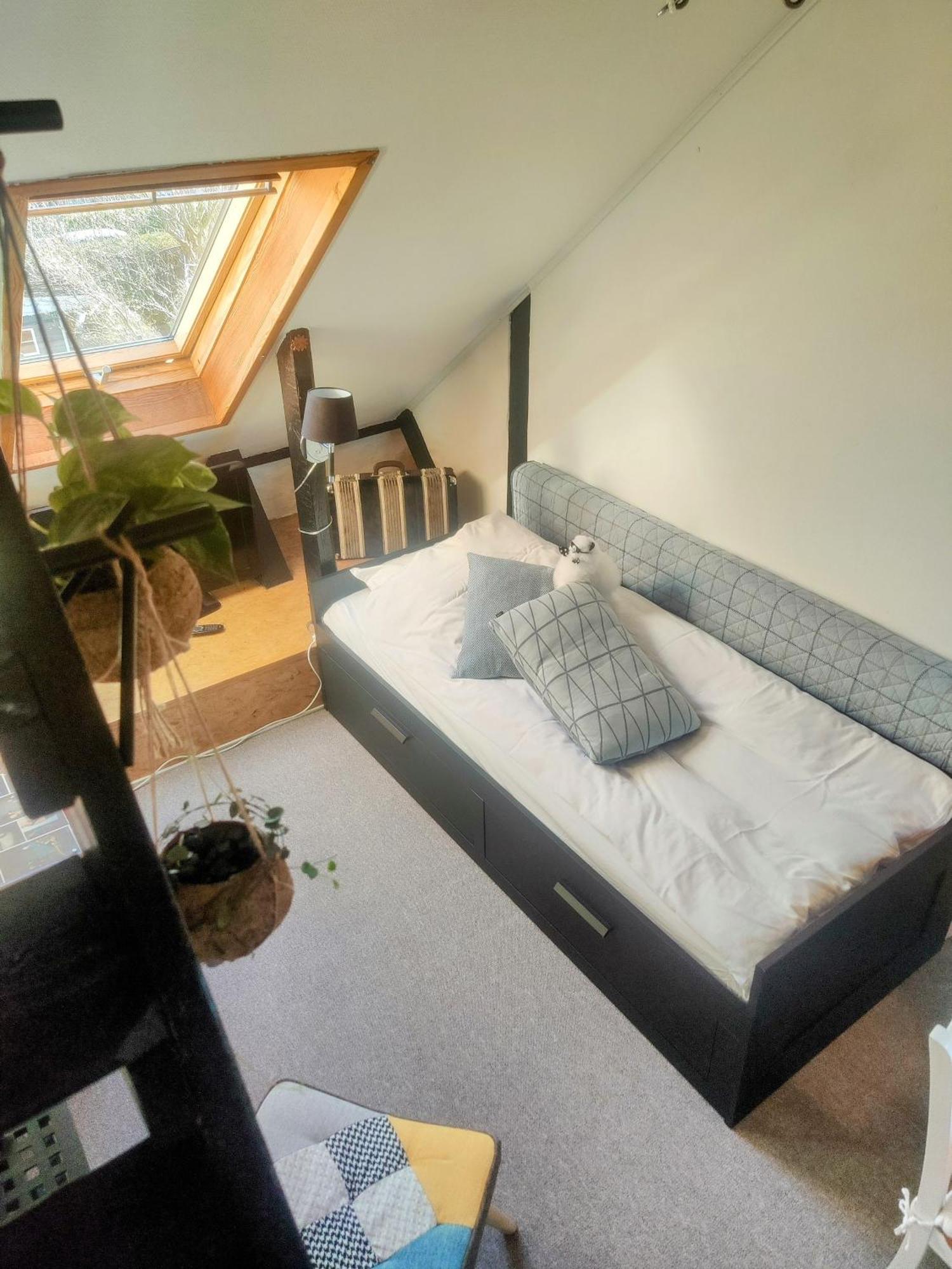 Lejlighed Cozy Haven - Bright Small Rooms, Easy Public Transport København