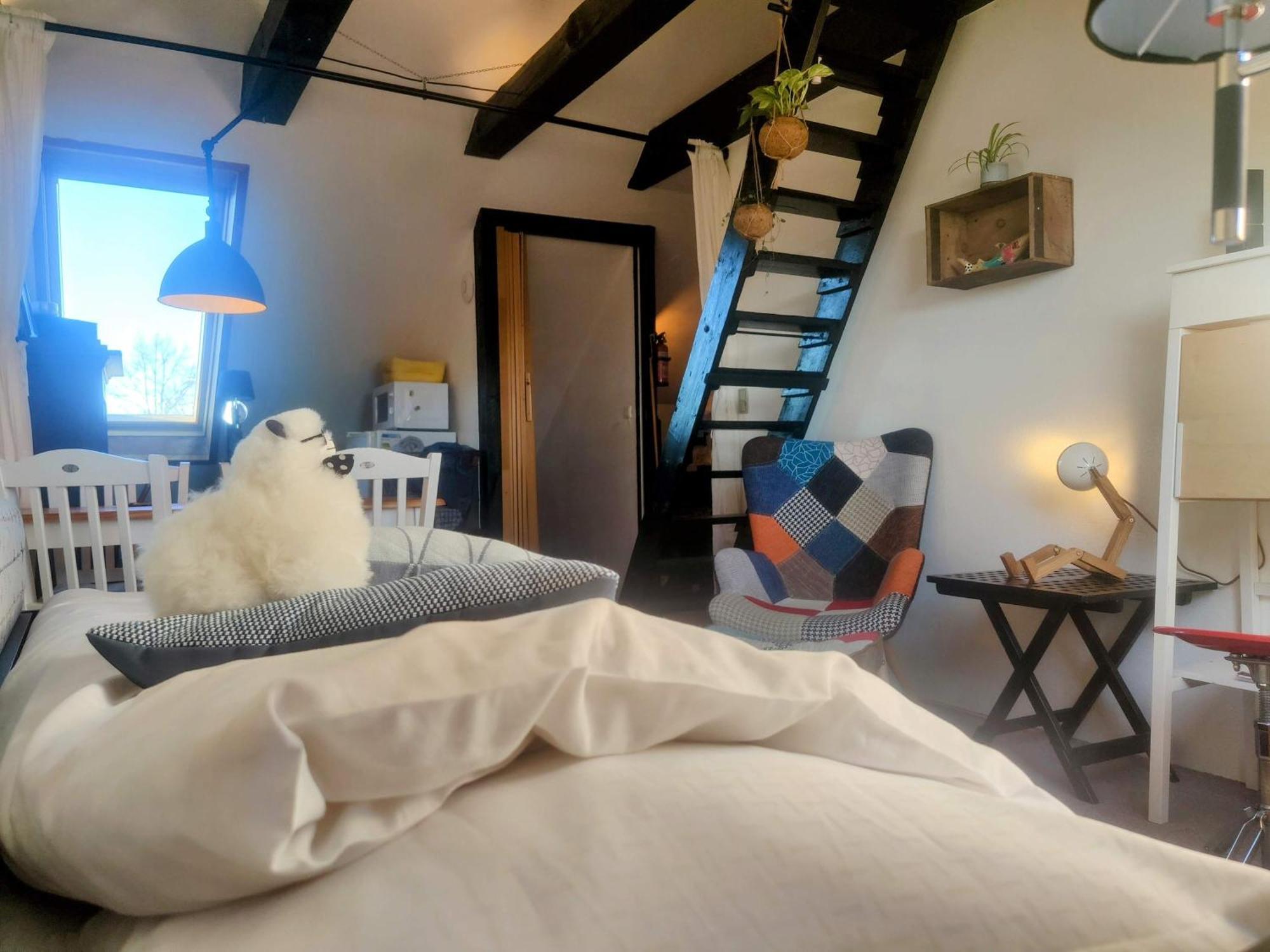 Cozy Haven - Bright Small Rooms, Easy Public Transport Lejlighed