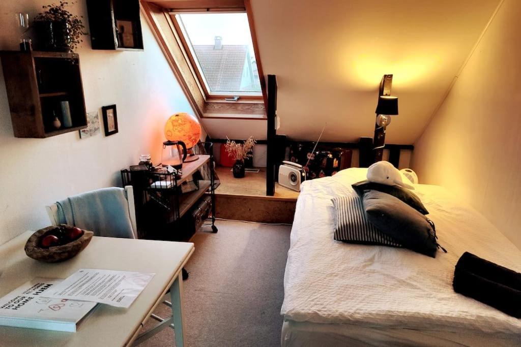 Cozy Haven - Bright Small Rooms, Easy Public Transport København